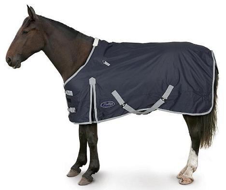 GALLOP TURNOUT RUG